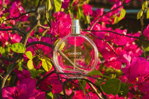 Gucci Flora Perfume Guide: Fragrance Notes, Collection Overview, and Luxury Perfume Insights