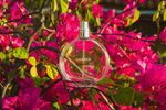 Gucci Flora Perfume Guide: Fragrance Notes, Collection Overview, and Luxury Perfume Insights