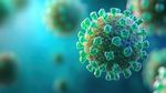 HIV Prevention Explained: Prevention Methods, Testing, Treatment, PrEP & Public Health Insights
