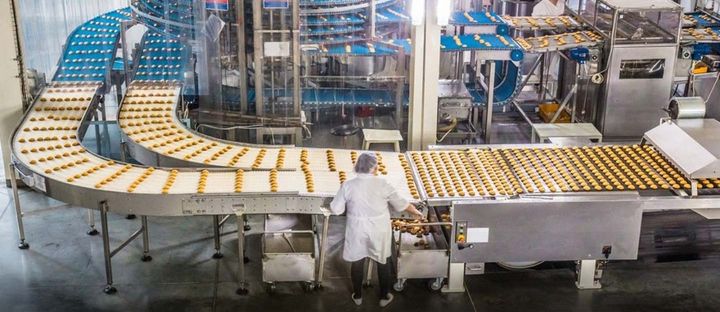 Discover Food Production Careers: Skills, Training, and Growth Opportunities